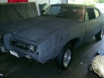 Little GTO.jpg